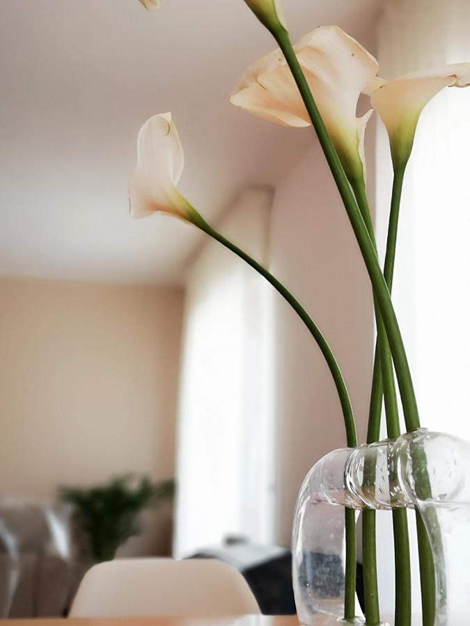 So Fine - Apulian Flats Appartement