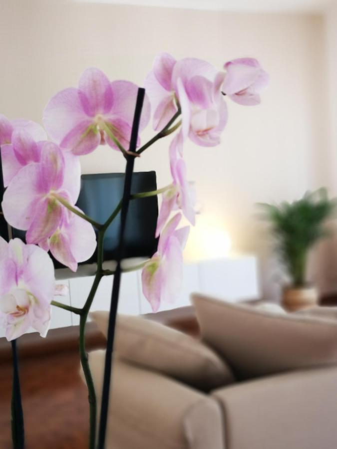 Appartement So Fine - Apulian Flats *